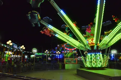 DSC_7802 (Large).JPG